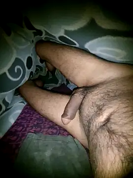 Desi Horny Boys online show from 12/21/25, 04:52