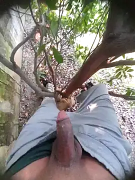 Desi Horny Boys online show from 11/22/25, 06:01