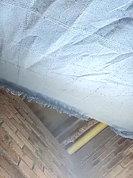 GaaraDiaz online show from 12/20/25, 08:01