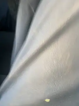 Snapshot of curis4270panda chatting on 02/17/26, 11:02 curis4270panda online show from 02/17/26, 11:02