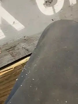 Snapshot of curis4270panda chatting on 02/16/26, 08:07 curis4270panda online show from 02/16/26, 08:07