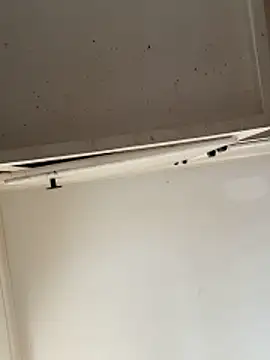 Snapshot of curis4270panda chatting on 02/15/26, 07:57 curis4270panda online show from 02/15/26, 07:57