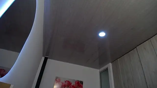 Snapshot of pinky_f00x chatting on 11/27/25, 07:47 pinky f00x online show from 11/27/25, 07:47