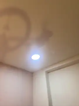 Bella  Wood online show from 03/21/26, 08:46