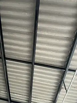 Elian savoy online show from 12/04/25, 08:08