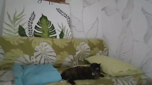 Snapshot of Catty_Lady chatting on 09/27/25, 06:36 Catty Lady online show from 09/27/25, 06:36