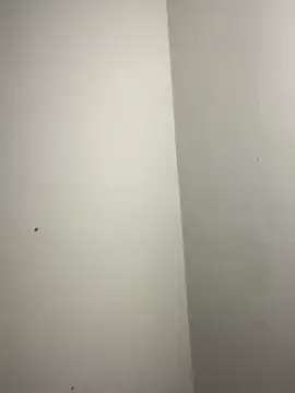 ElaRose 12 online show from 02/27/26, 11:15