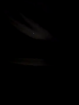 himNIGuys online show from 12/14/25, 08:09