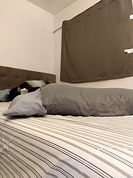 himNIGuys online show from 02/10/26, 01:48