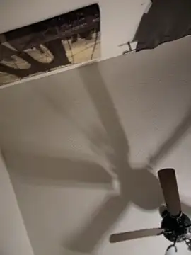 himNIGuys online show from 11/24/25, 10:15