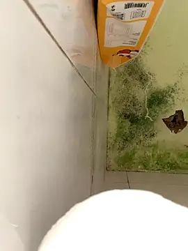 Bin77 online show from 12/17/25, 02:16