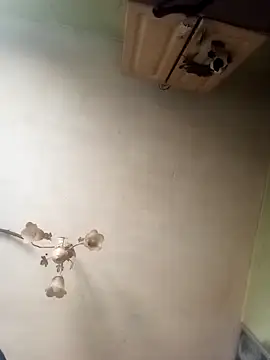 ToughDraft14 online show from 04/23/26, 07:15