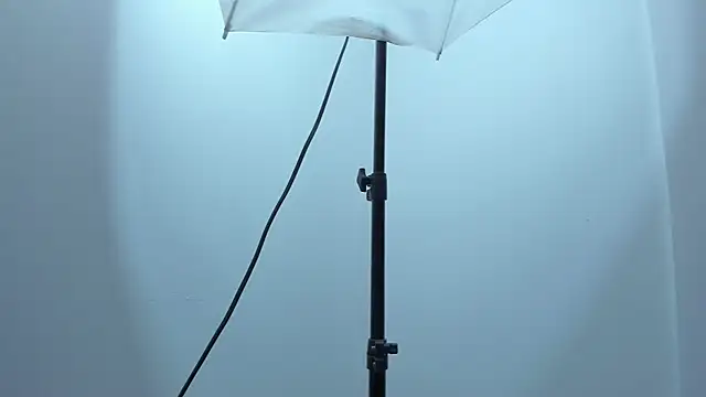 violet taylor  online show from 12/17/25, 02:16