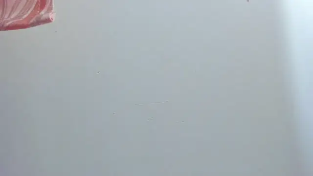 Snapshot of violet_taylor_ chatting on 07/16/26, 02:19 violet taylor online show from 07/16/26, 02:19
