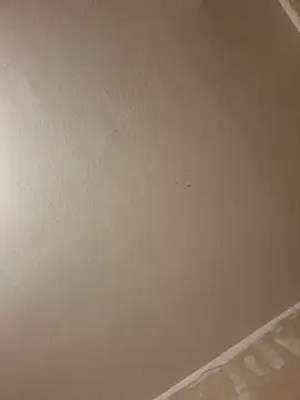 gazb90 online show from 01/14/26, 08:12