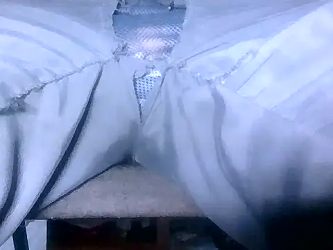 Cock4LadiesONLY online show from 09/17/25, 02:41