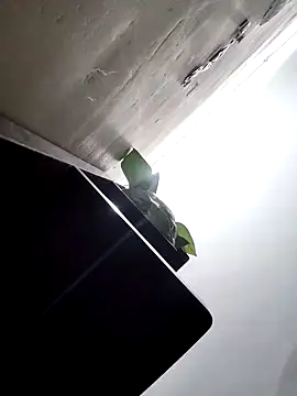 papukurty online show from 03/25/26, 01:50