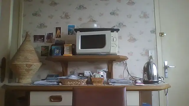 gegevincent online show from 01/18/26, 02:09