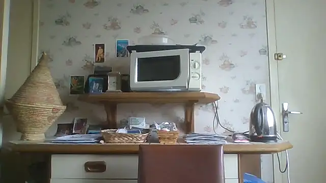 gegevincent online show from 11/29/25, 02:06