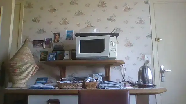 Snapshot of gegevincent chatting on 07/04/26, 12:53 gegevincent online show from 07/04/26, 12:53