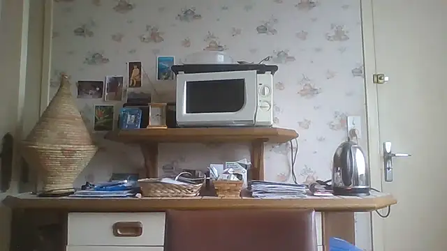 gegevincent online show from 02/17/26, 02:14