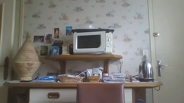 gegevincent online show from 02/20/26, 01:35