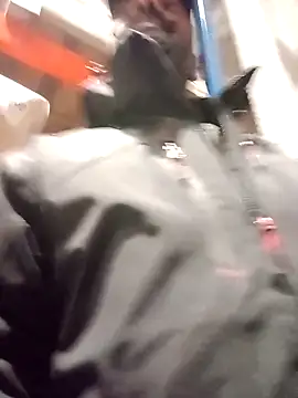 frenchblackc31 online show from 12/02/25, 03:14