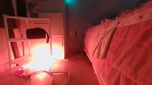 SatiroyNinfa online show from 03/30/26, 10:33