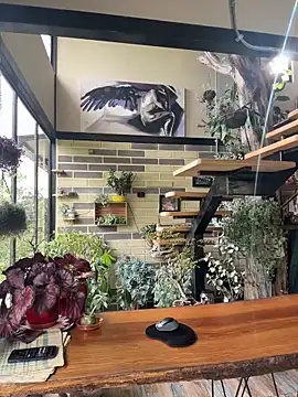 Rose-andres online show from 11/29/25, 08:42