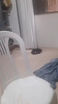 Urso Nerd online show from 03/14/26, 03:51