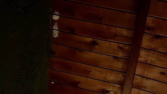 Taurito    online show from 11/28/25, 09:37