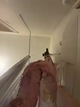 babykalirose online show from 03/19/26, 01:05