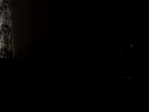 halopc online show from 10/01/25, 10:41