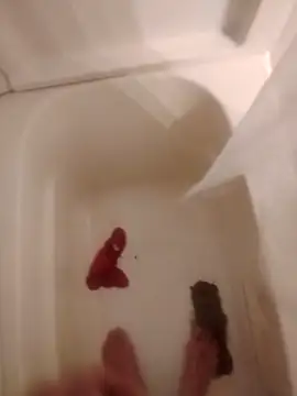 helldonk online show from 02/05/26, 02:40