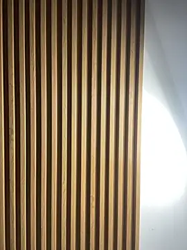 Scaarlettfox online show from 11/03/25, 07:28