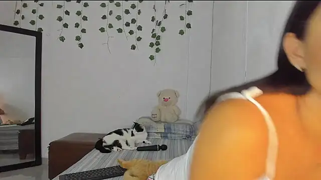 PureFire20 online show from 11/19/25, 09:20