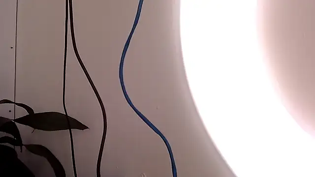 saara johnson496 online show from 09/24/25, 03:18