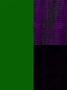 xneko  online show from 12/22/25, 04:34