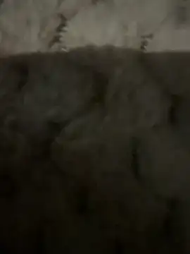 anonimgirl18old online show from 02/09/26, 06:50