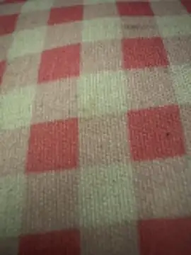 Snapshot of anonimgirl18old chatting on 10/29/25, 05:01 anonimgirl18old online show from 10/29/25, 05:01