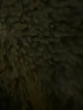 anonimgirl18old online show from 02/21/26, 06:32