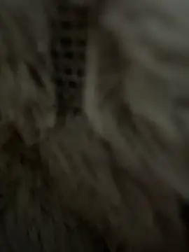 anonimgirl18old online show from 02/25/26, 08:36