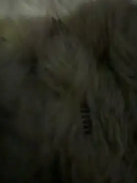 anonimgirl18old online show from 03/06/26, 05:08