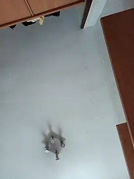 Hottiesophie online show from 04/12/26, 02:20