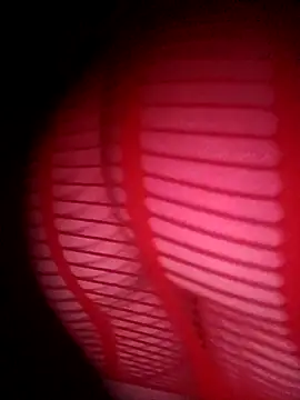 Hottiesophie online show from 03/24/26, 12:54