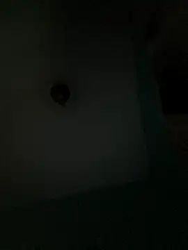 Snapshot of Villageanuty chatting on 02/26/26, 01:27 Villageanuty online show from 02/26/26, 01:27