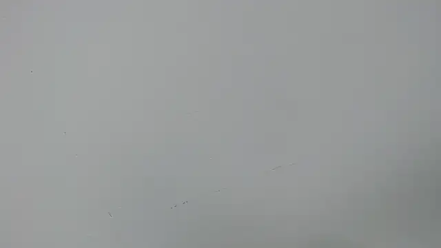 Snapshot of eladyrous98 chatting on 12/17/25, 02:00 eladyrous98 online show from 12/17/25, 02:00