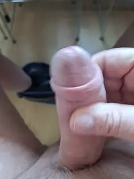 minnetird online show from 02/18/26, 02:57