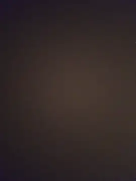 minnetird online show from 03/25/26, 04:01