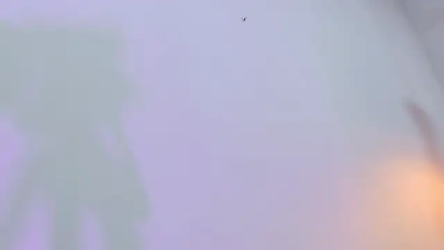 Snapshot of eimy_skinny_ chatting on 02/12/26, 12:49 eimy skinny online show from 02/12/26, 12:49